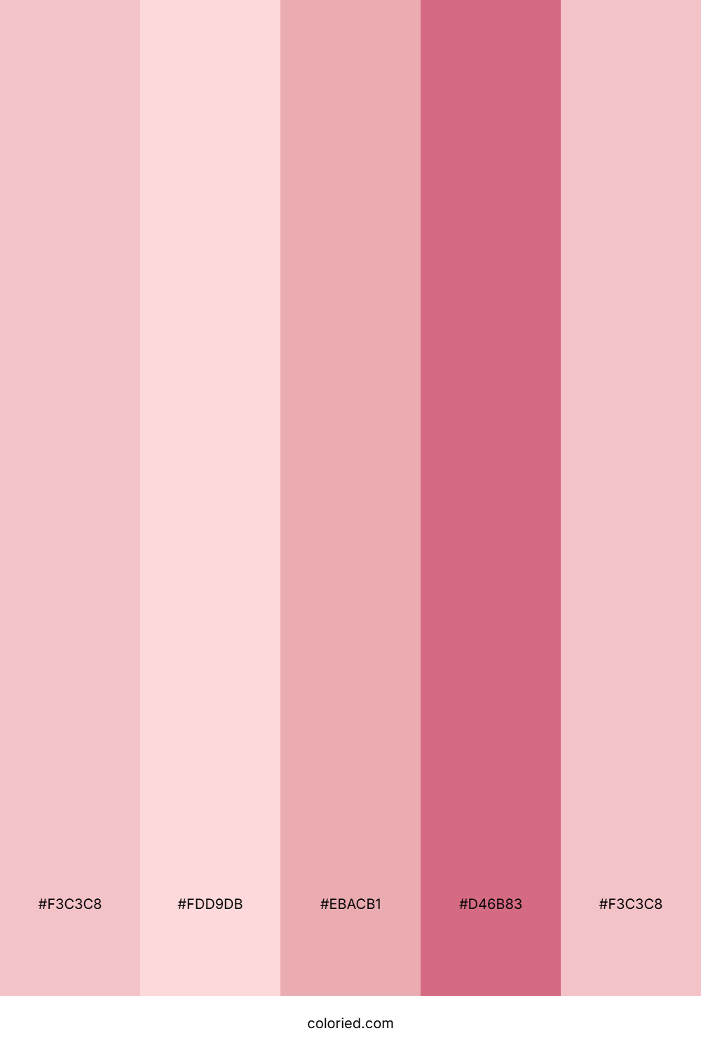 Rose And Blush Color Palette