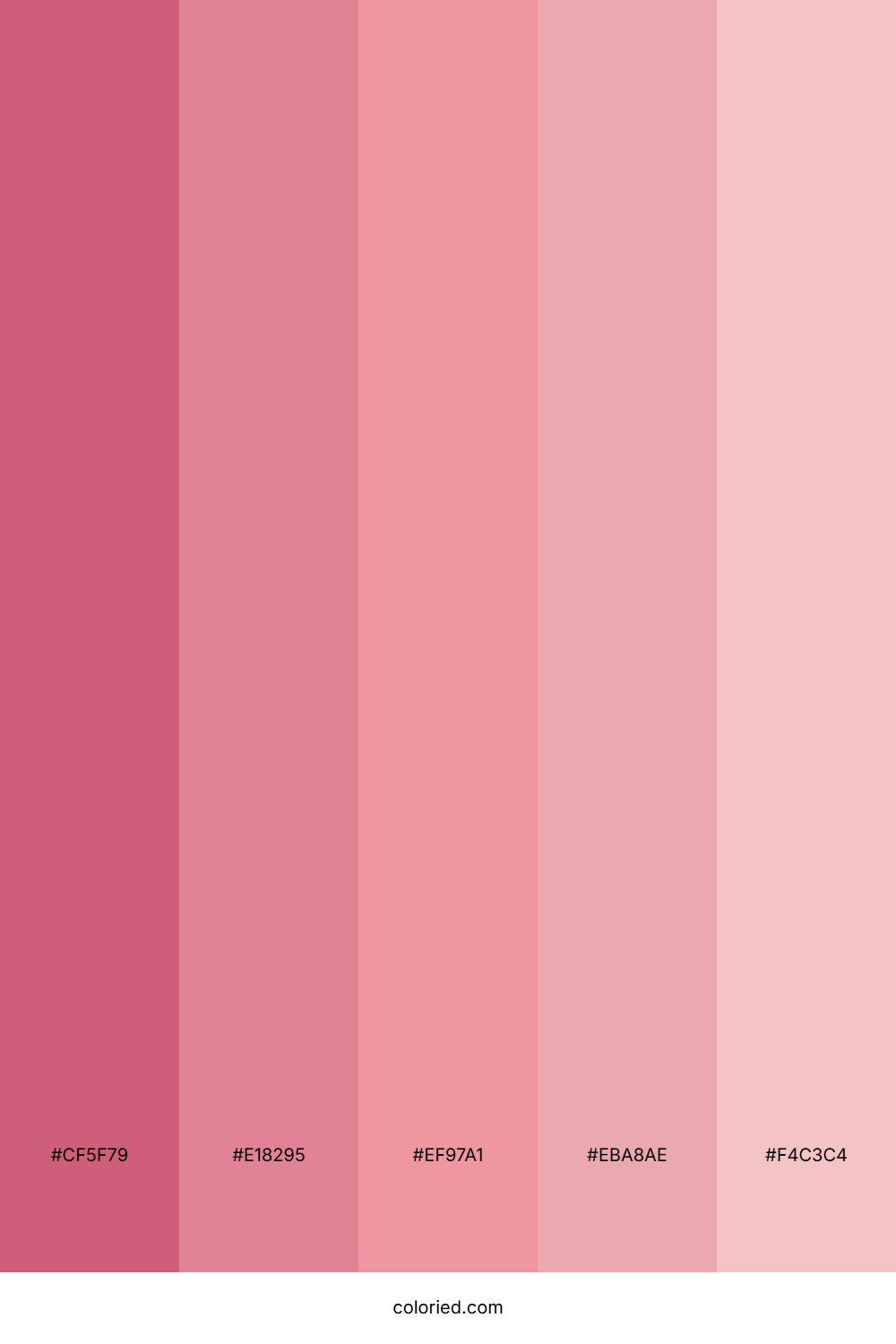 Rose and Blush Pink Color Palette