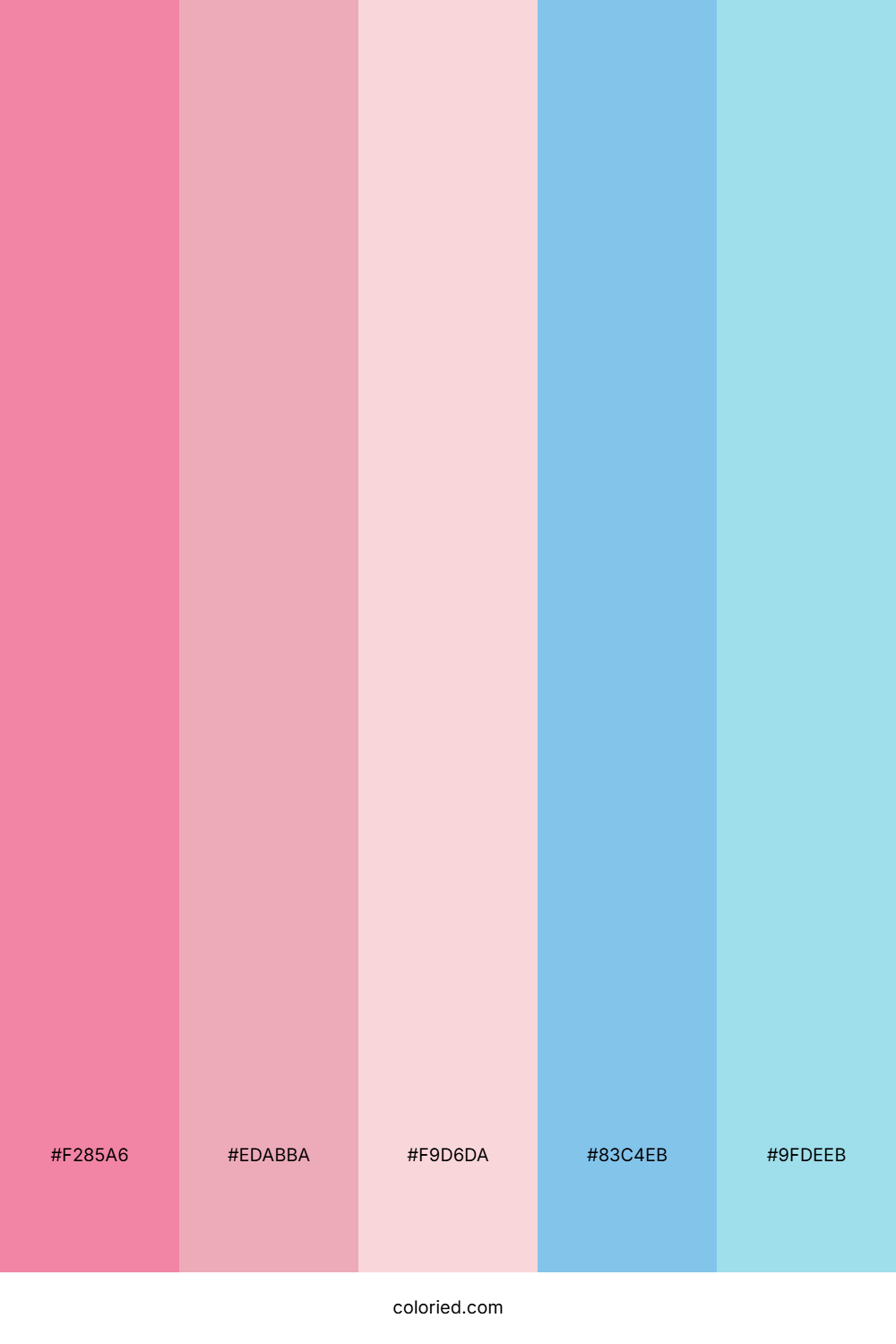 Rose And Sky Color Palette
