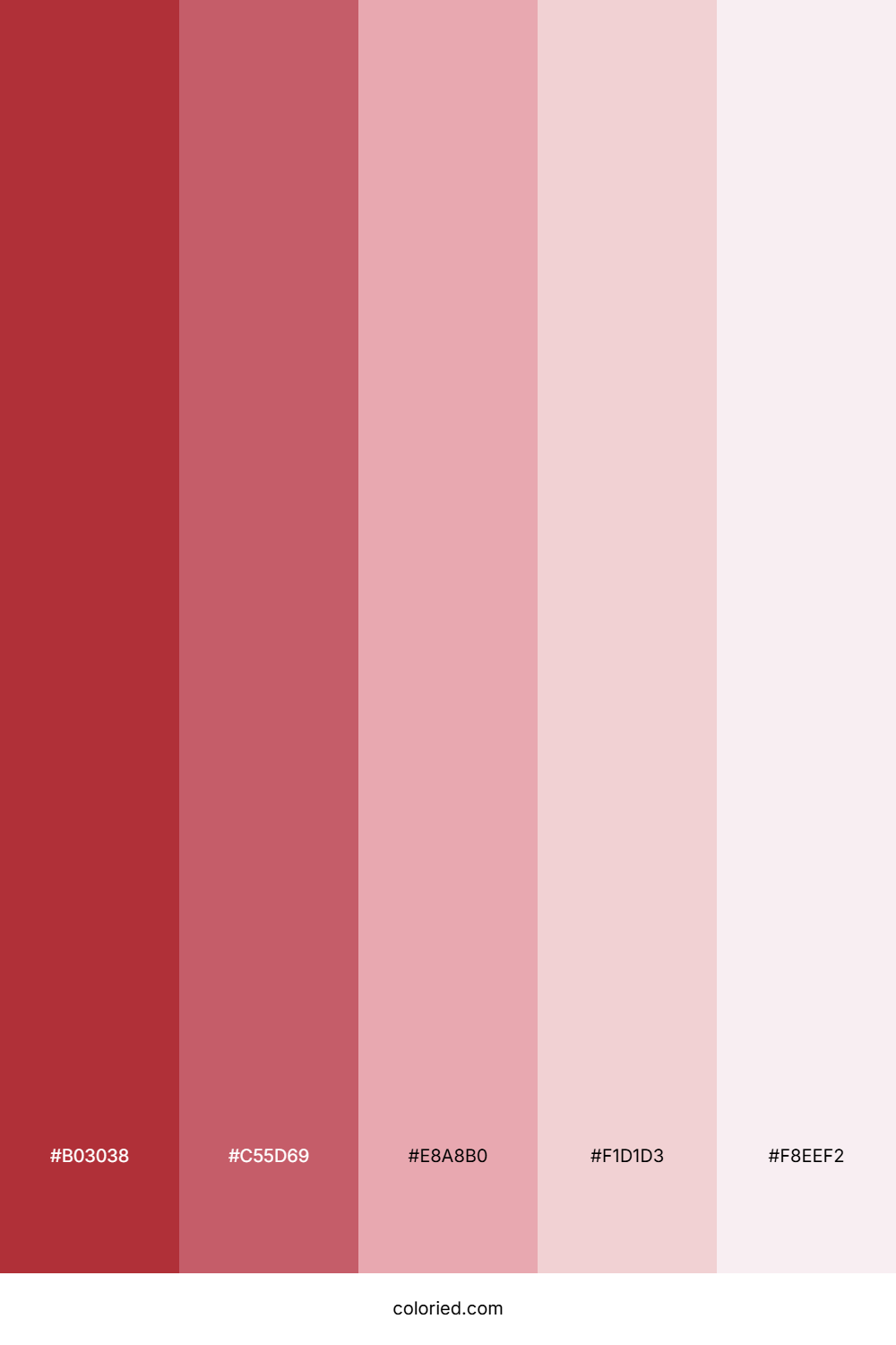 Rose Blush Delight Color Palette
