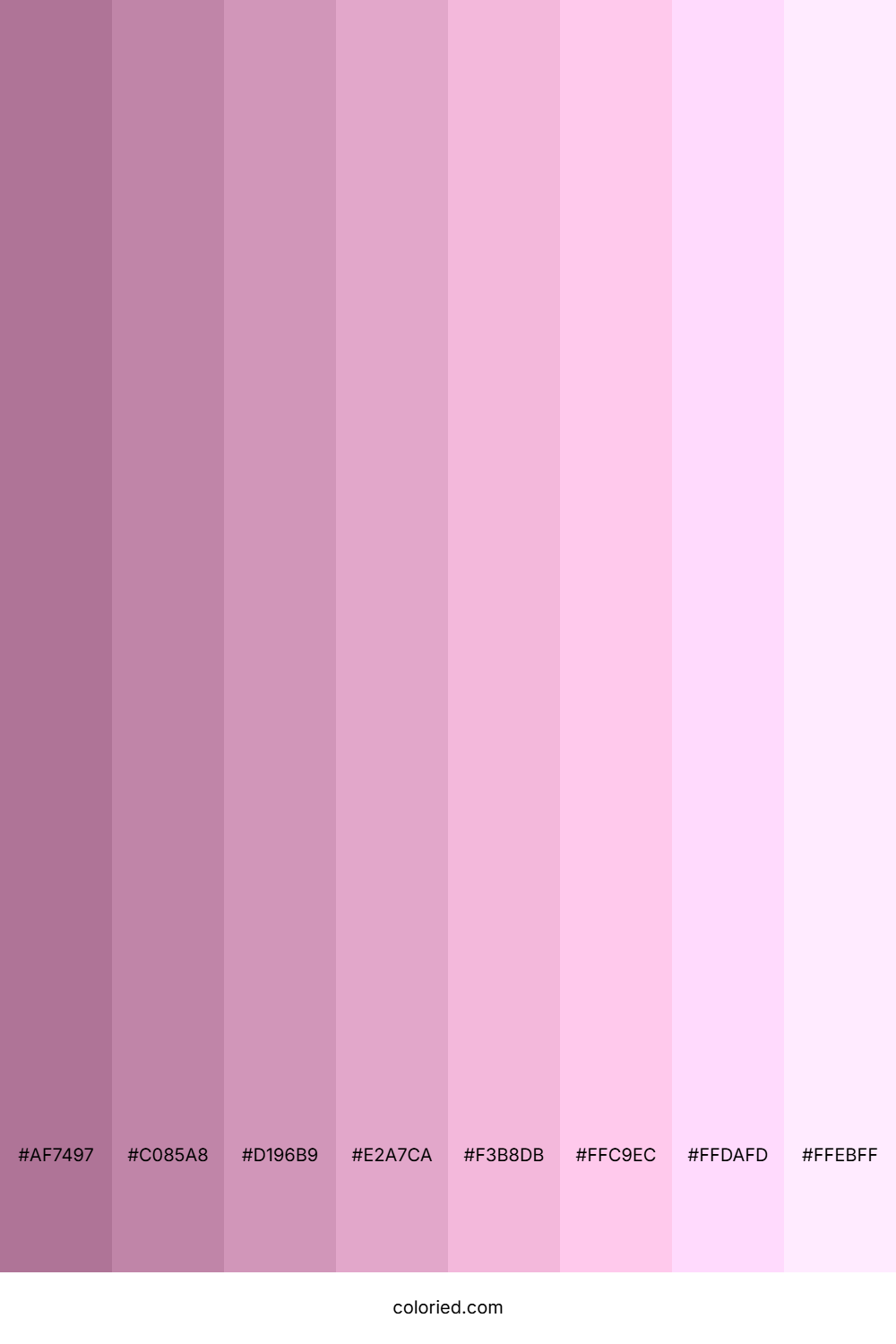 Rose Blush Shades