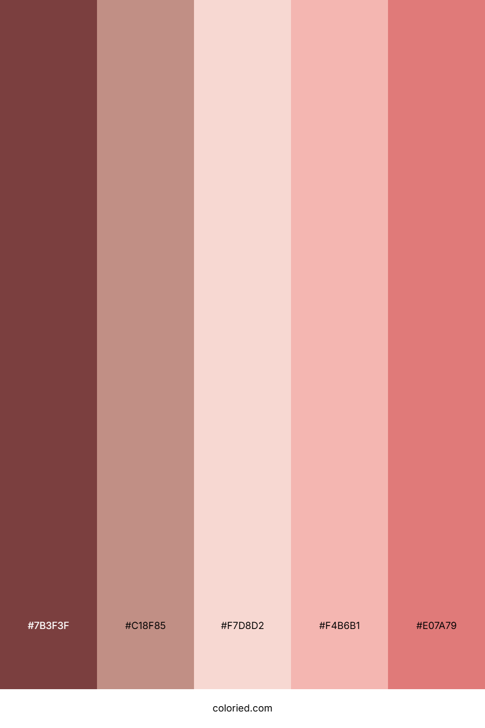 Rose Gold and Pink Color Palette
