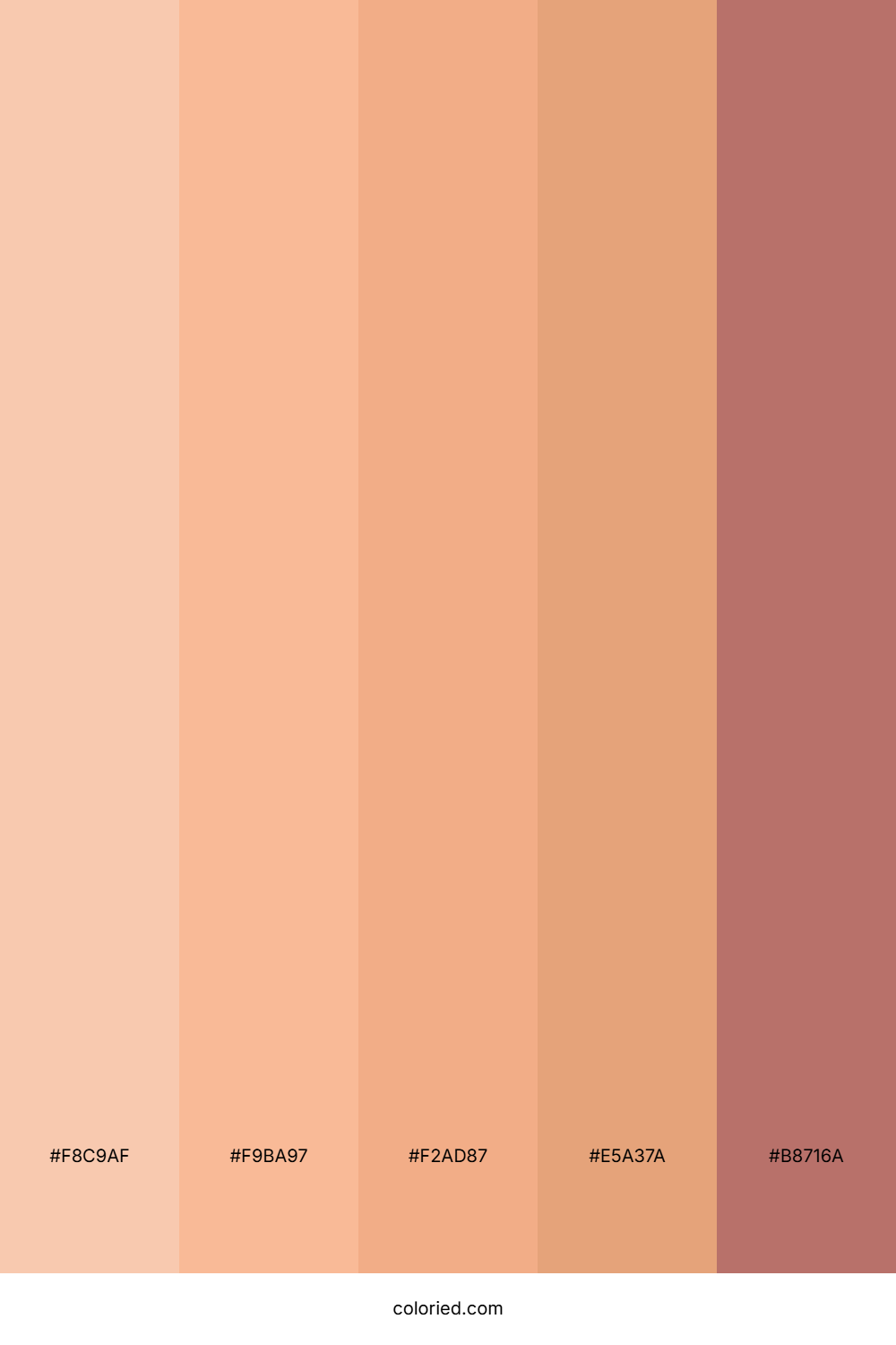 Rose Gold and Warm Peach Color Palette