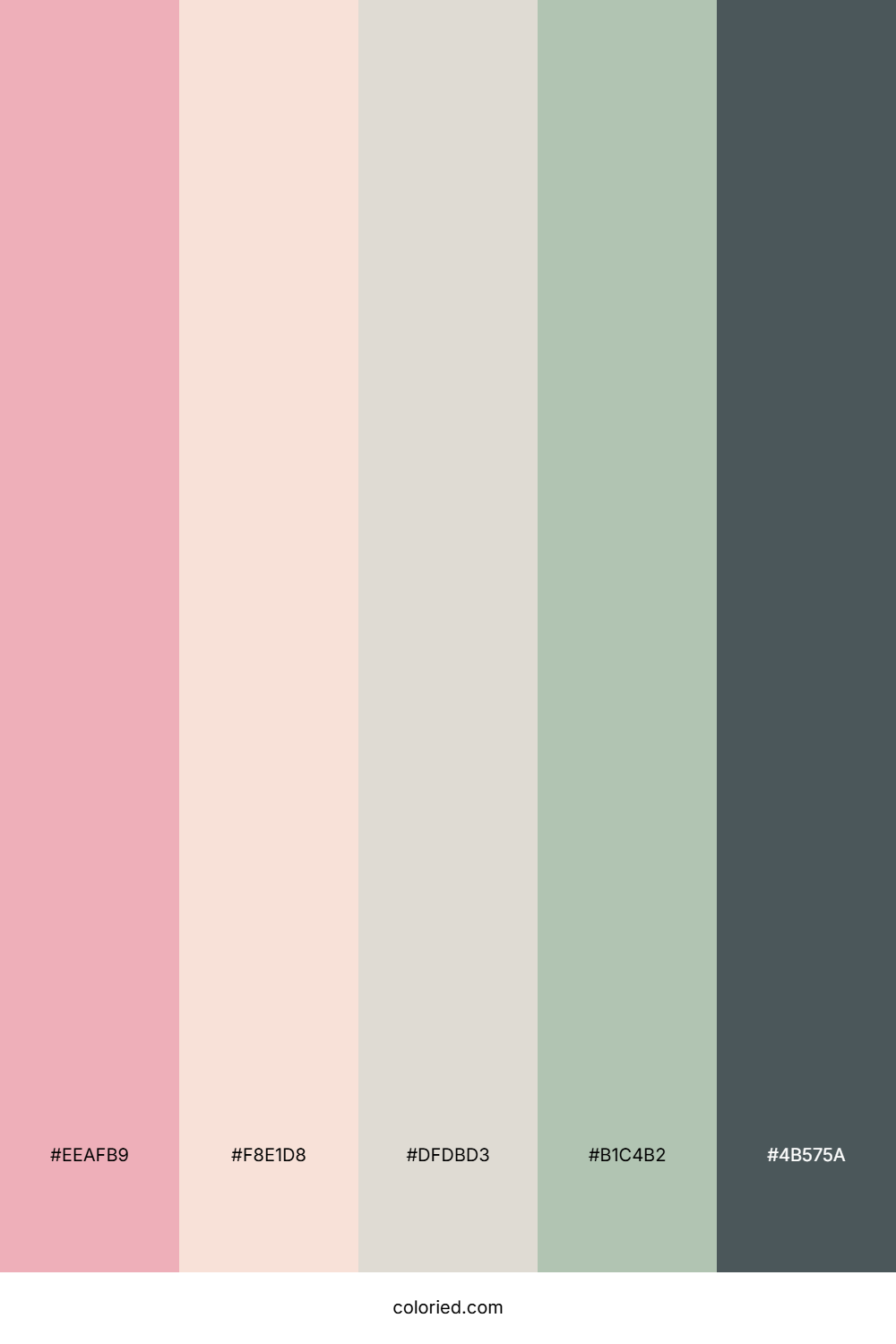 Rose Mint Cloud Color Palette