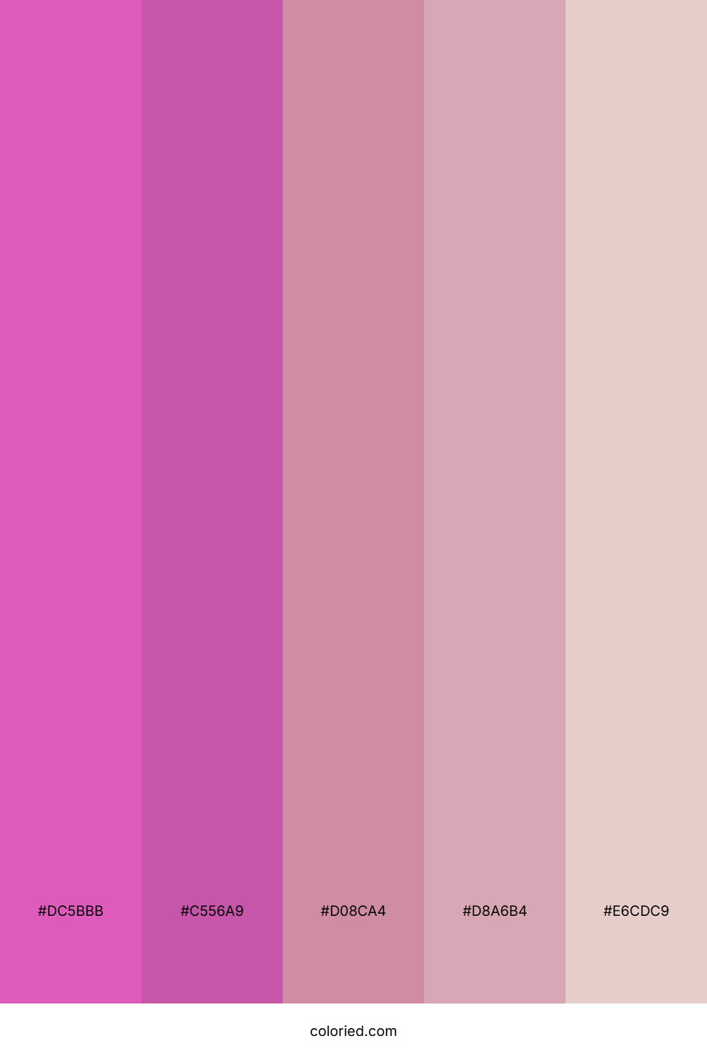Rose Petal Blush Color Palette