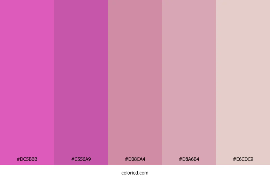 Rose Petal Blush Color Palette