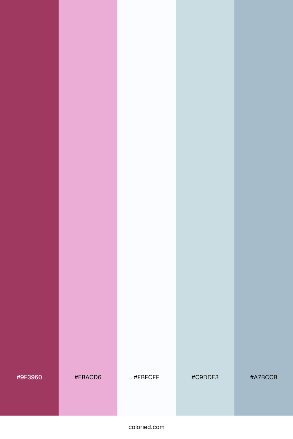 Rose Petal Cloud Color Palette