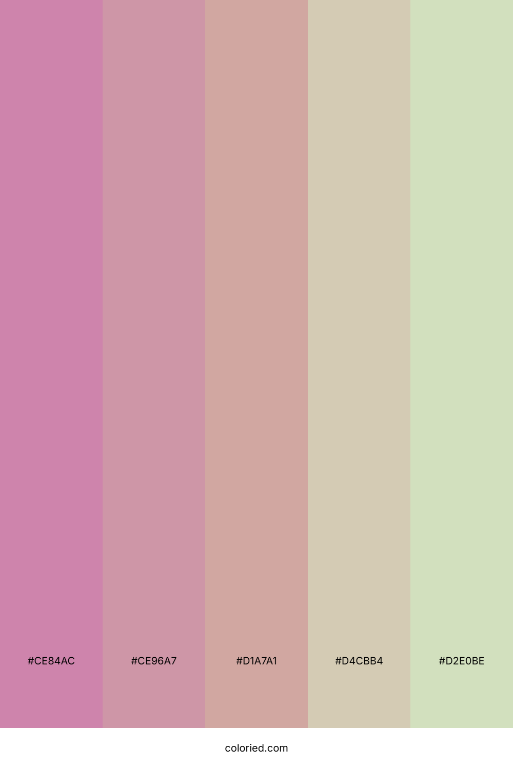 Rose Petal Drift Color Palette