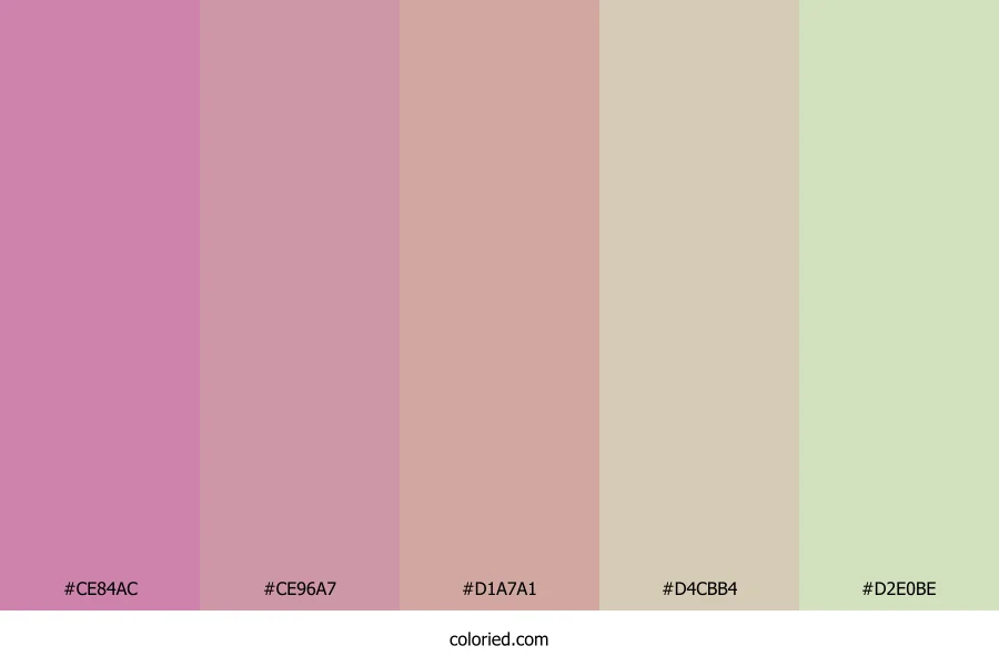 Rose Petal Drift Color Palette
