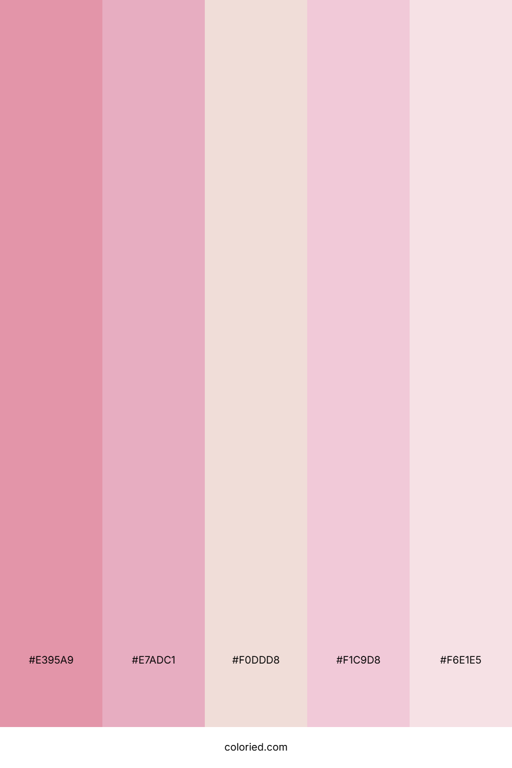 Rose Pink and Blush Color Palette