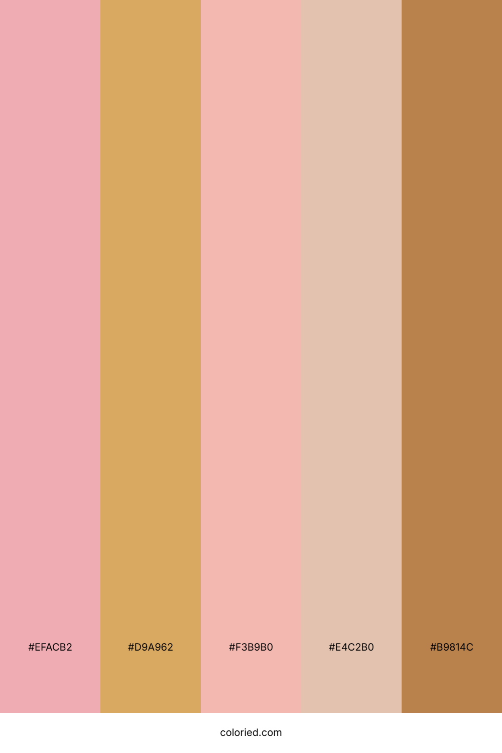 Rose Pink and Golden Tan Color Palette