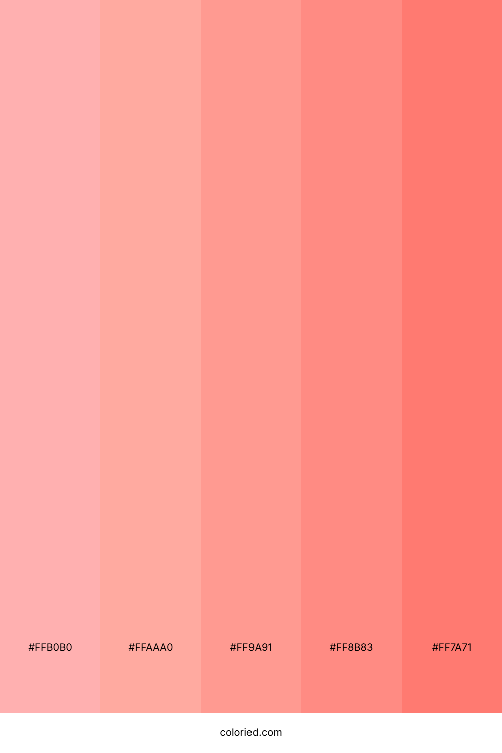 Rose Pink and Salmon Color Palette