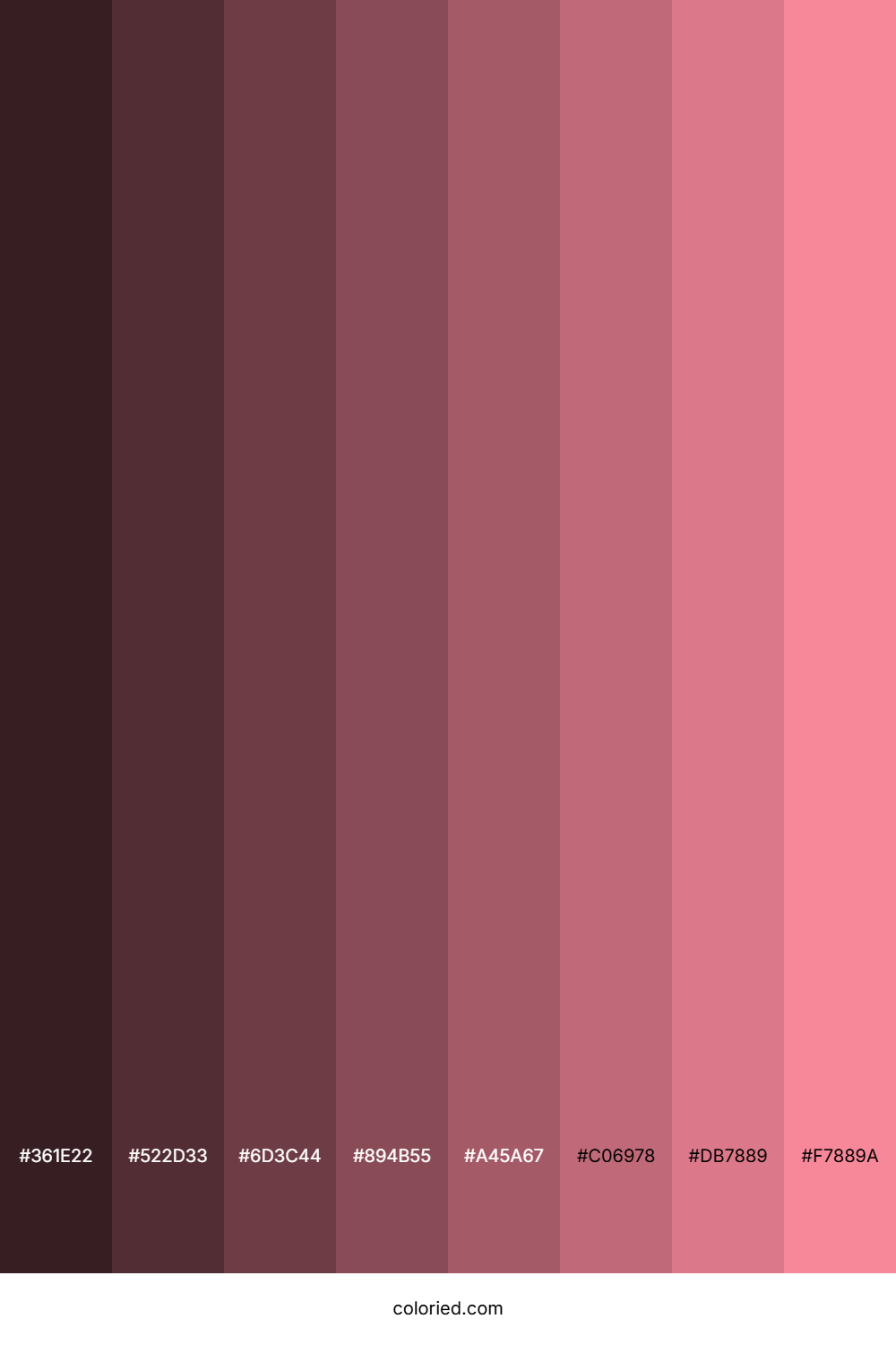Rose Pink Color Shades