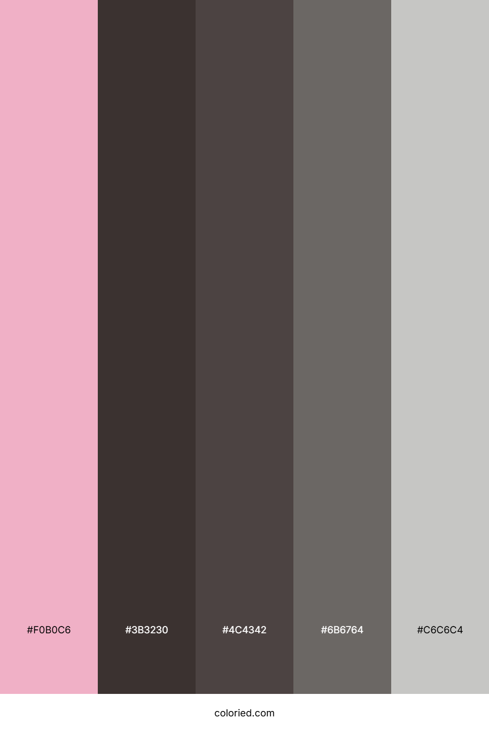 Rose Quartz and Charcoal Color Palette
