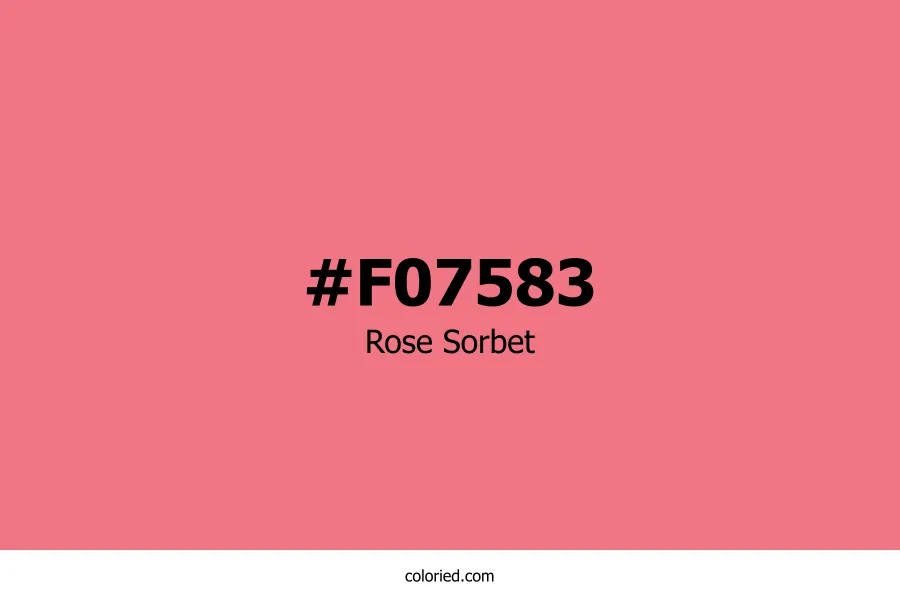 Rose Sorbet Color