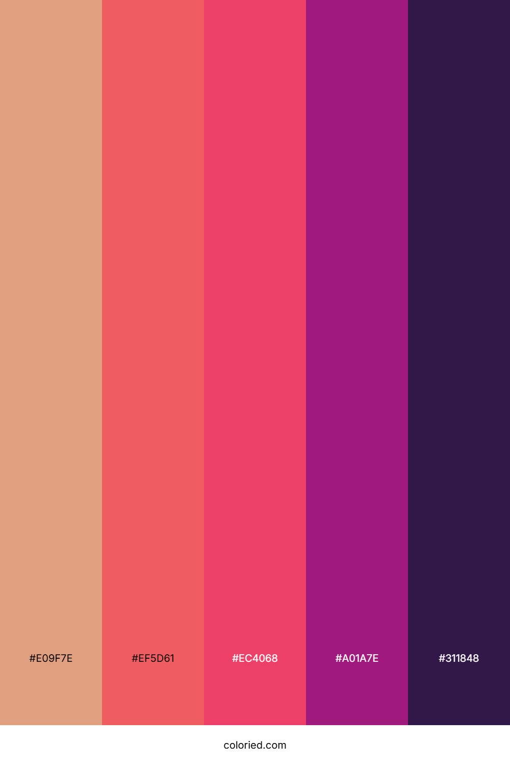 Rose Sunset Twilight Color Palette