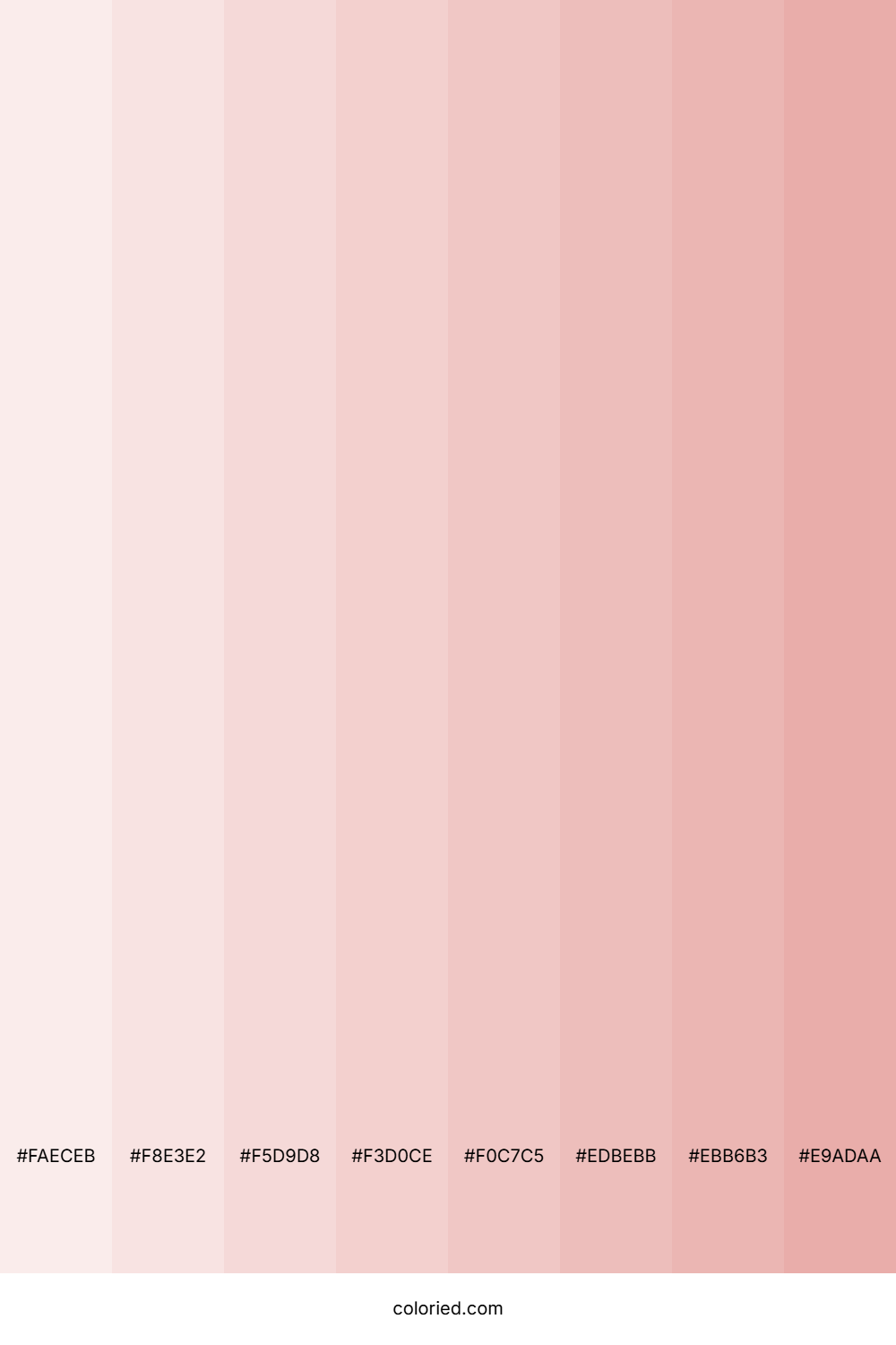 Rose Tints Color Shades