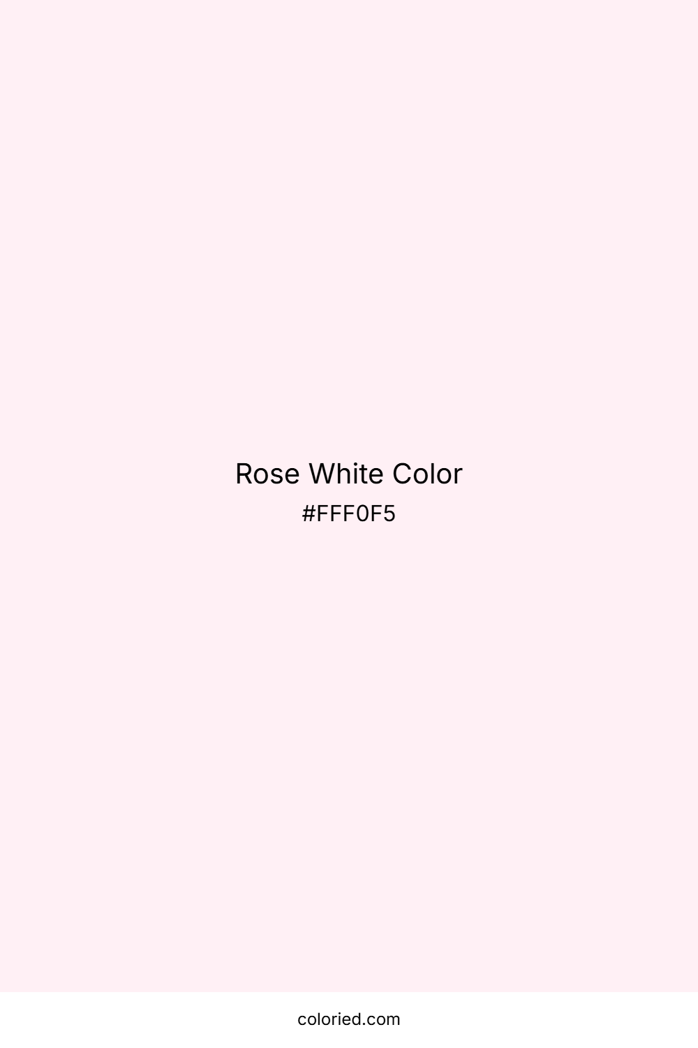 Rose White Color