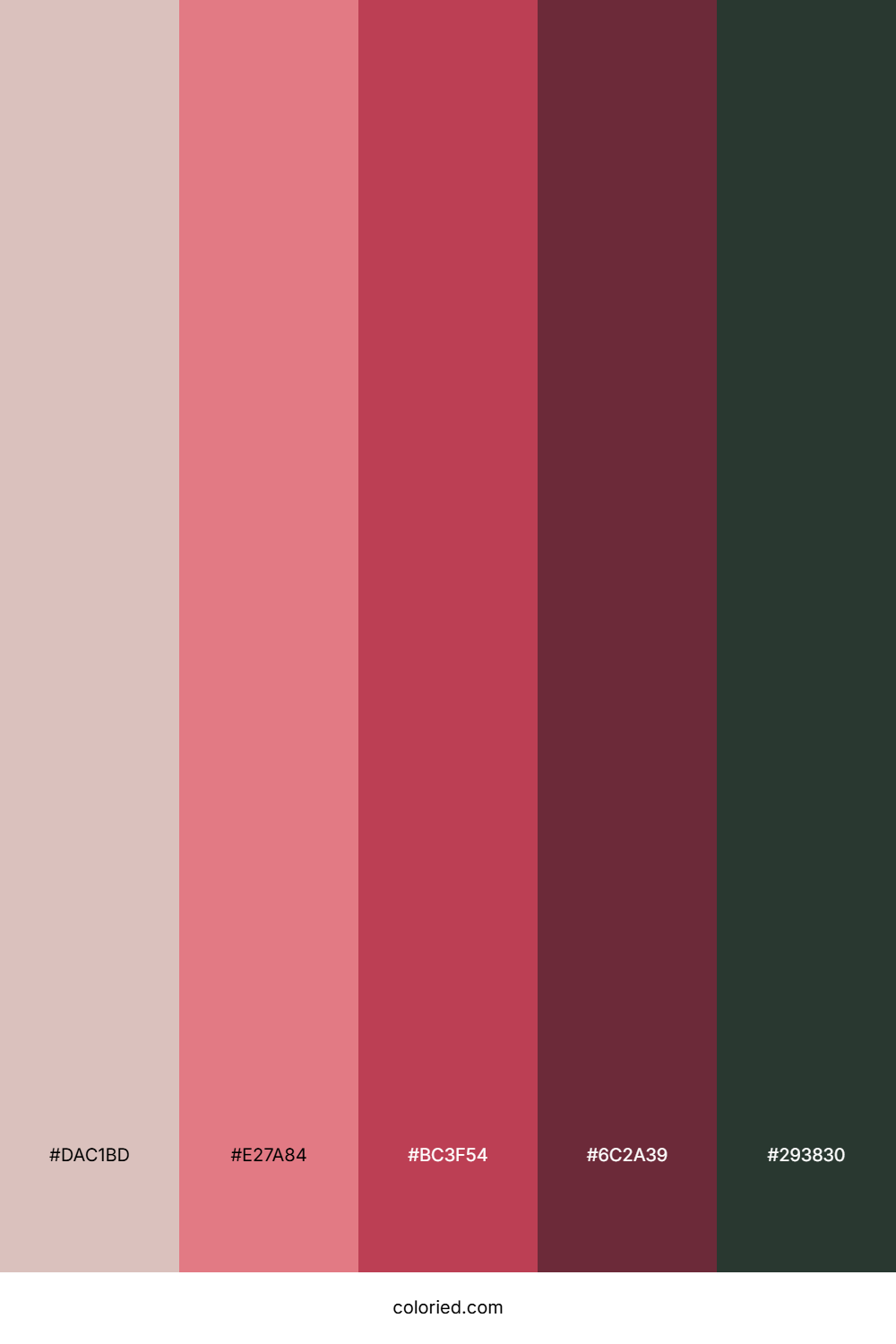Rosewater Citrus Bloom Color Palette