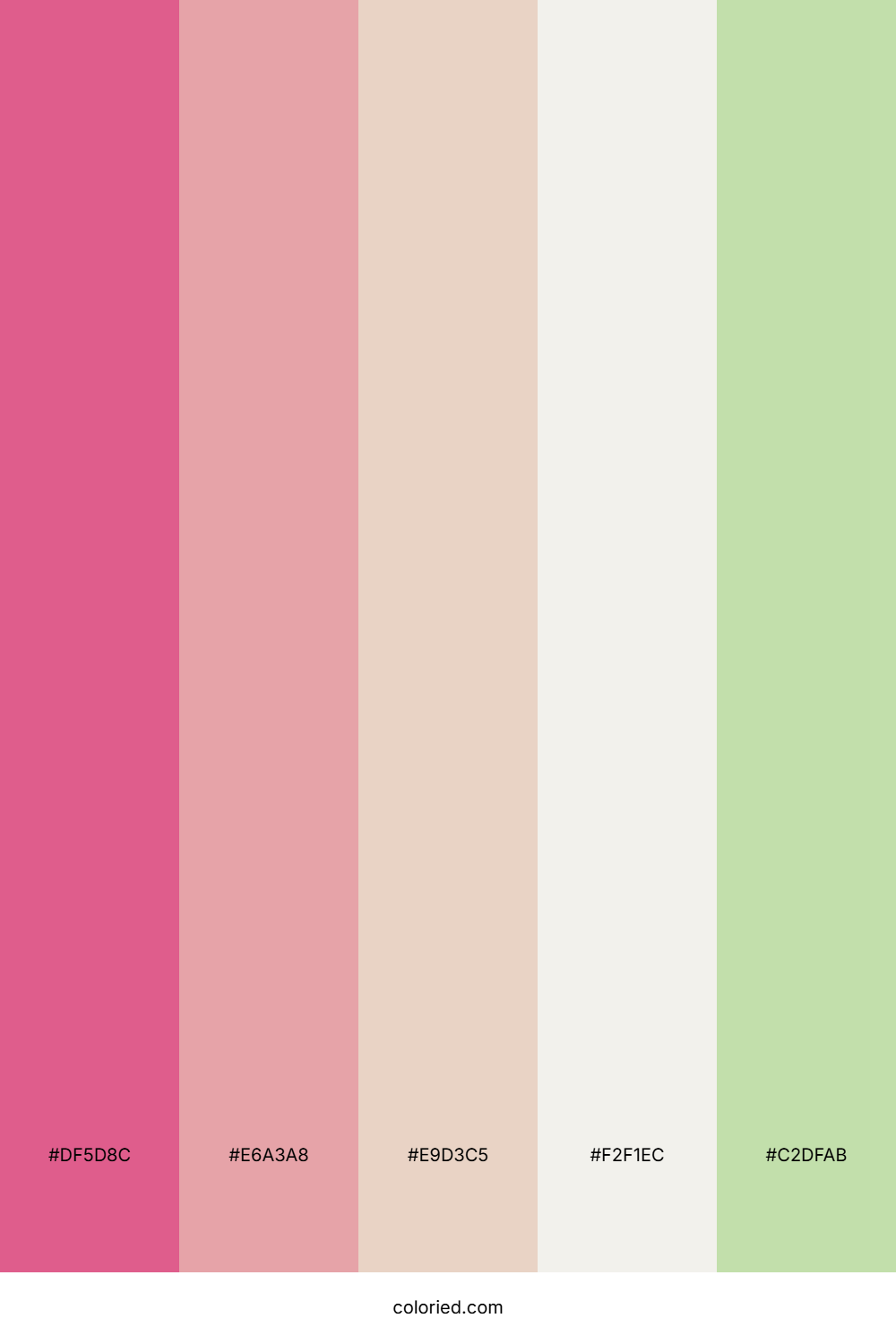 Rosewater Cream Meadow Color Palette