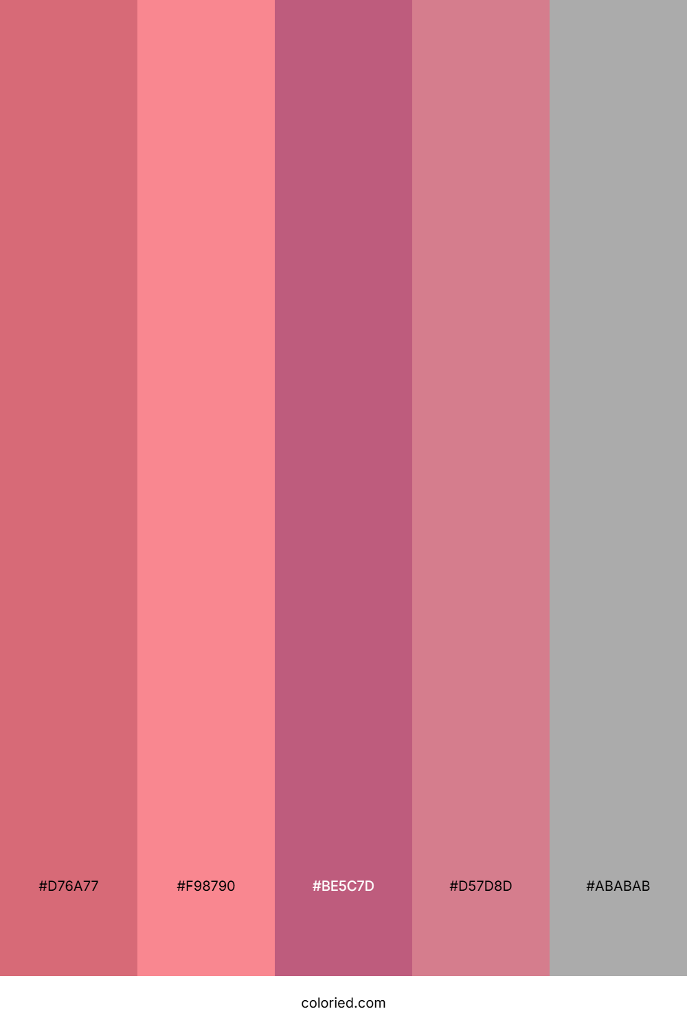 Rosewood and Blush Color Palette