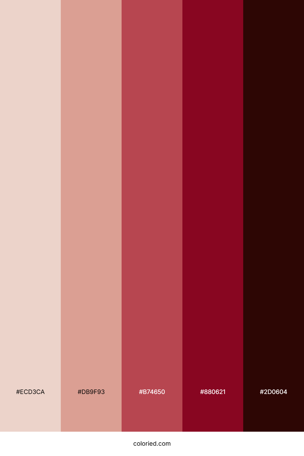 Rosewood Maroon Velvet Color Palette