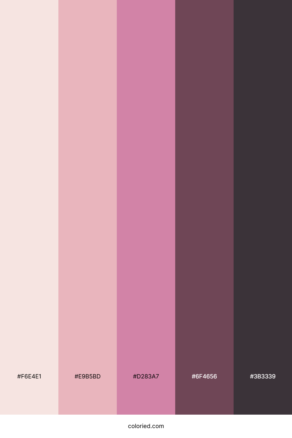 Rosewood Petal Shadow Palette