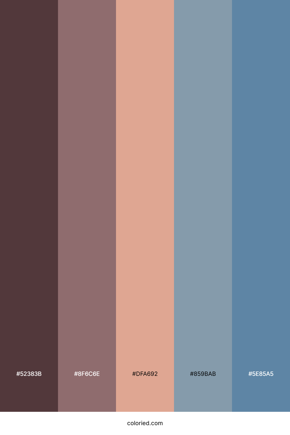 Rosewood Slate Sky Color Palette