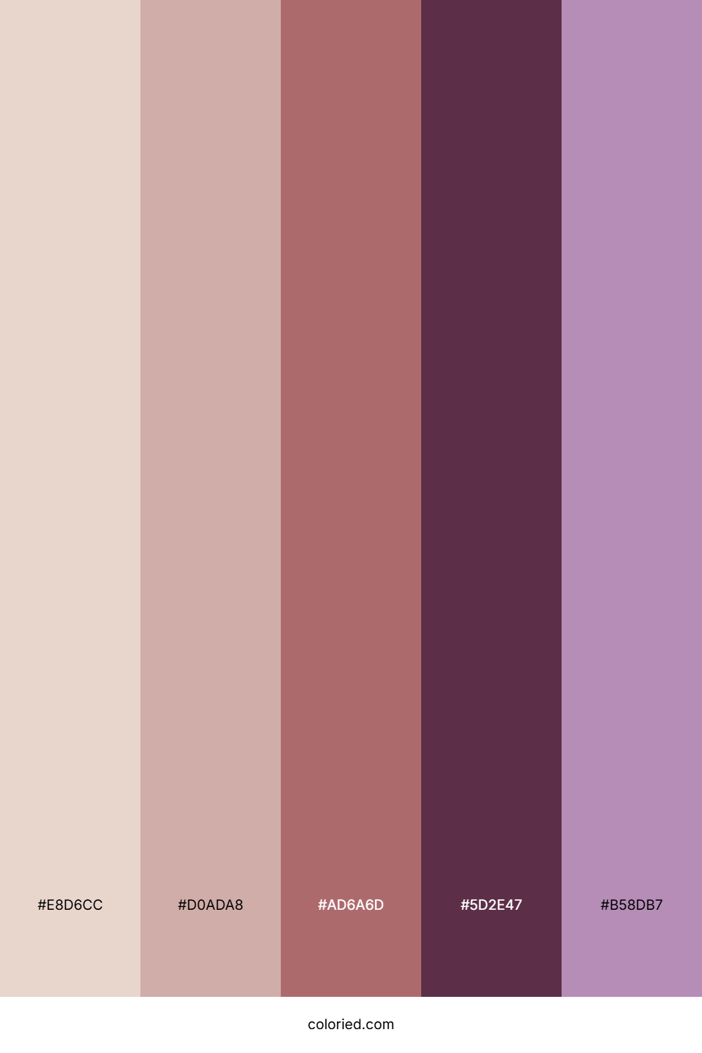 Rosewood Twilight Glow Color Palette