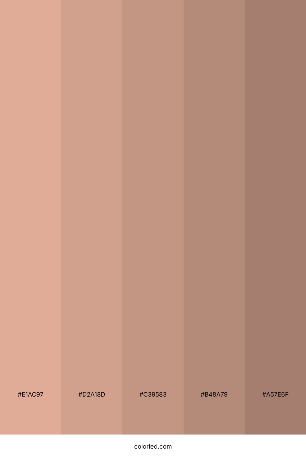 Rosy Almond Blush Color Palette