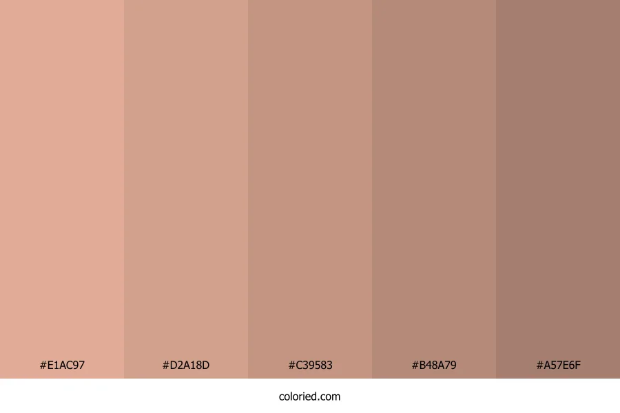 Rosy Almond Blush Color Palette