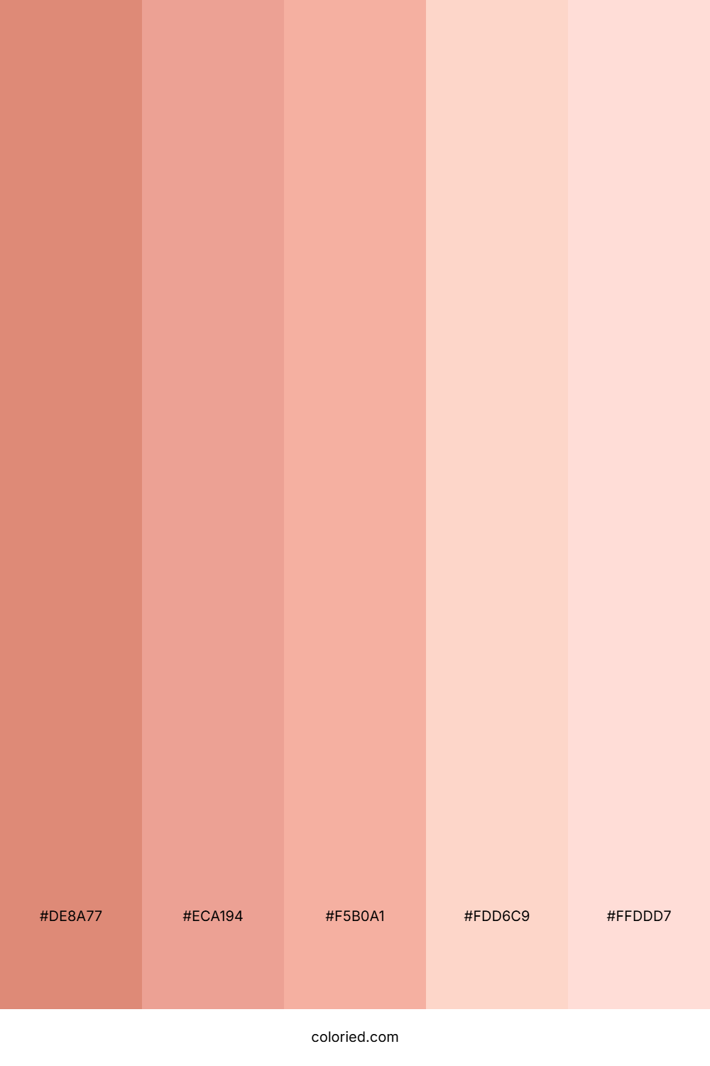 Rosy Apricot Blush Palette