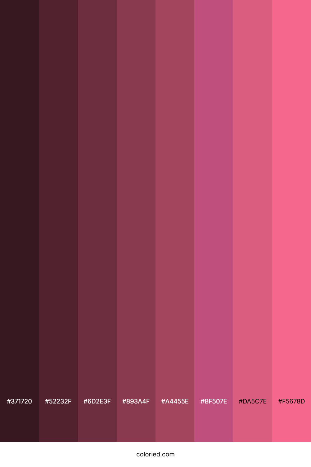 Rosy Pink Color Shades