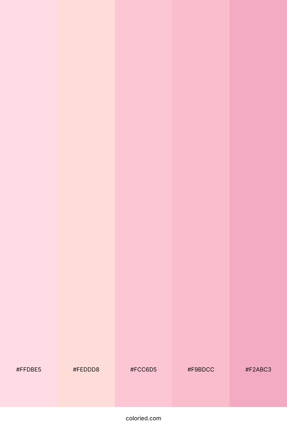 Rosé Cloud Veil Color Palette