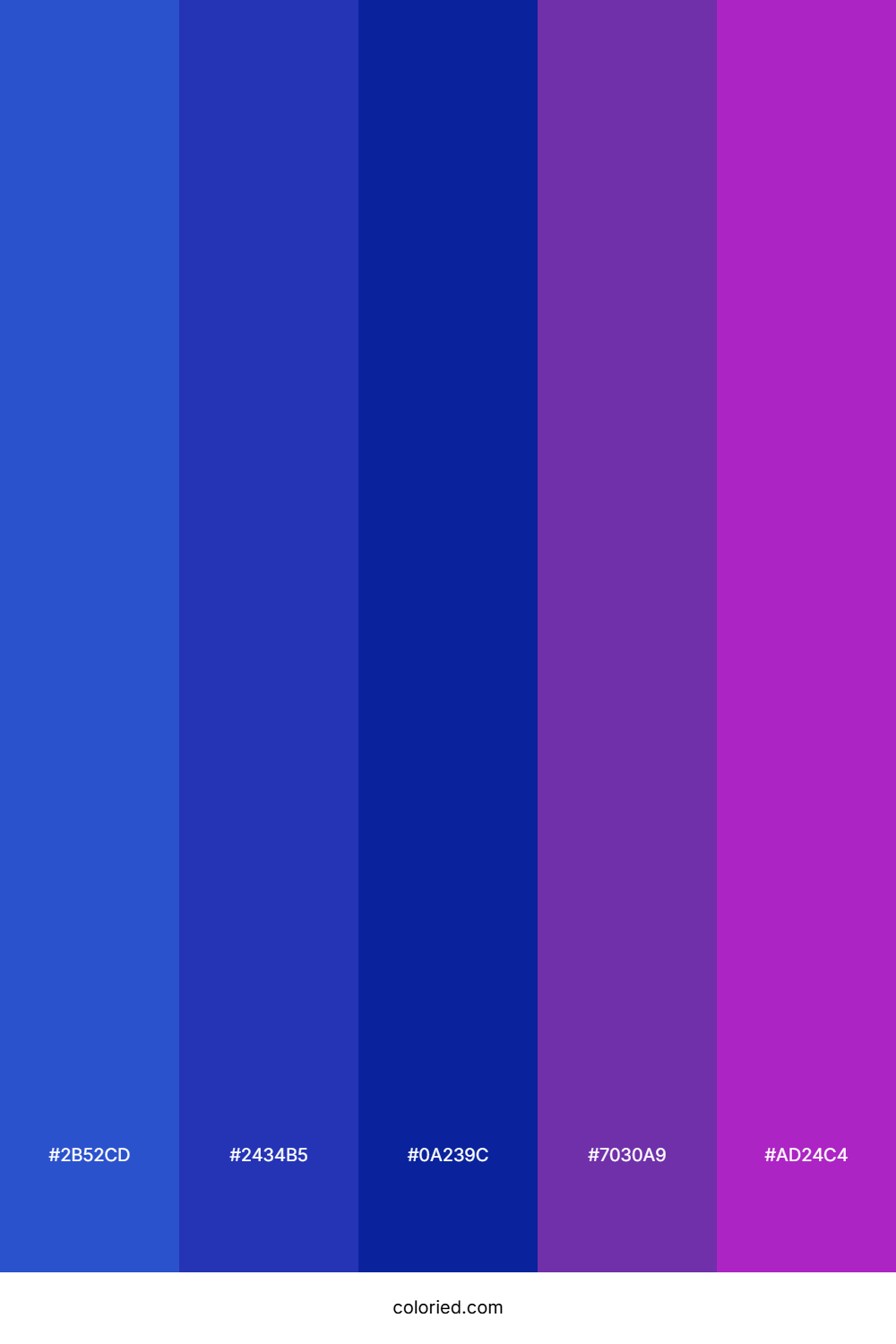 Royal Blue And Deep Purple Color Palette