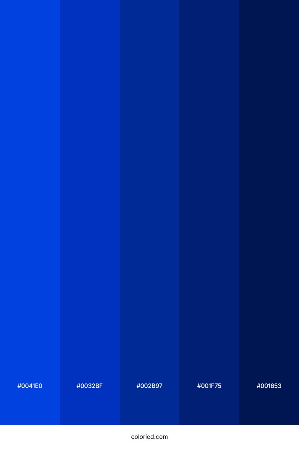 Royal Blue and Navy Color Palette