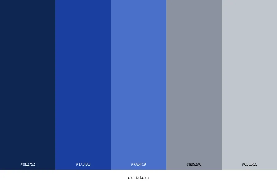 Royal Blue and Silver Color Palette