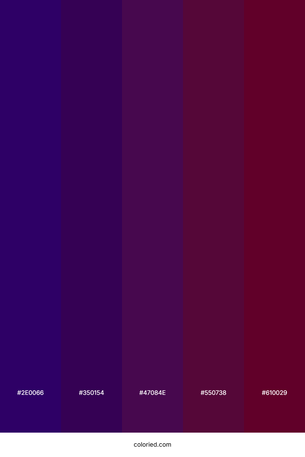 Royal Plum Night Color Palette