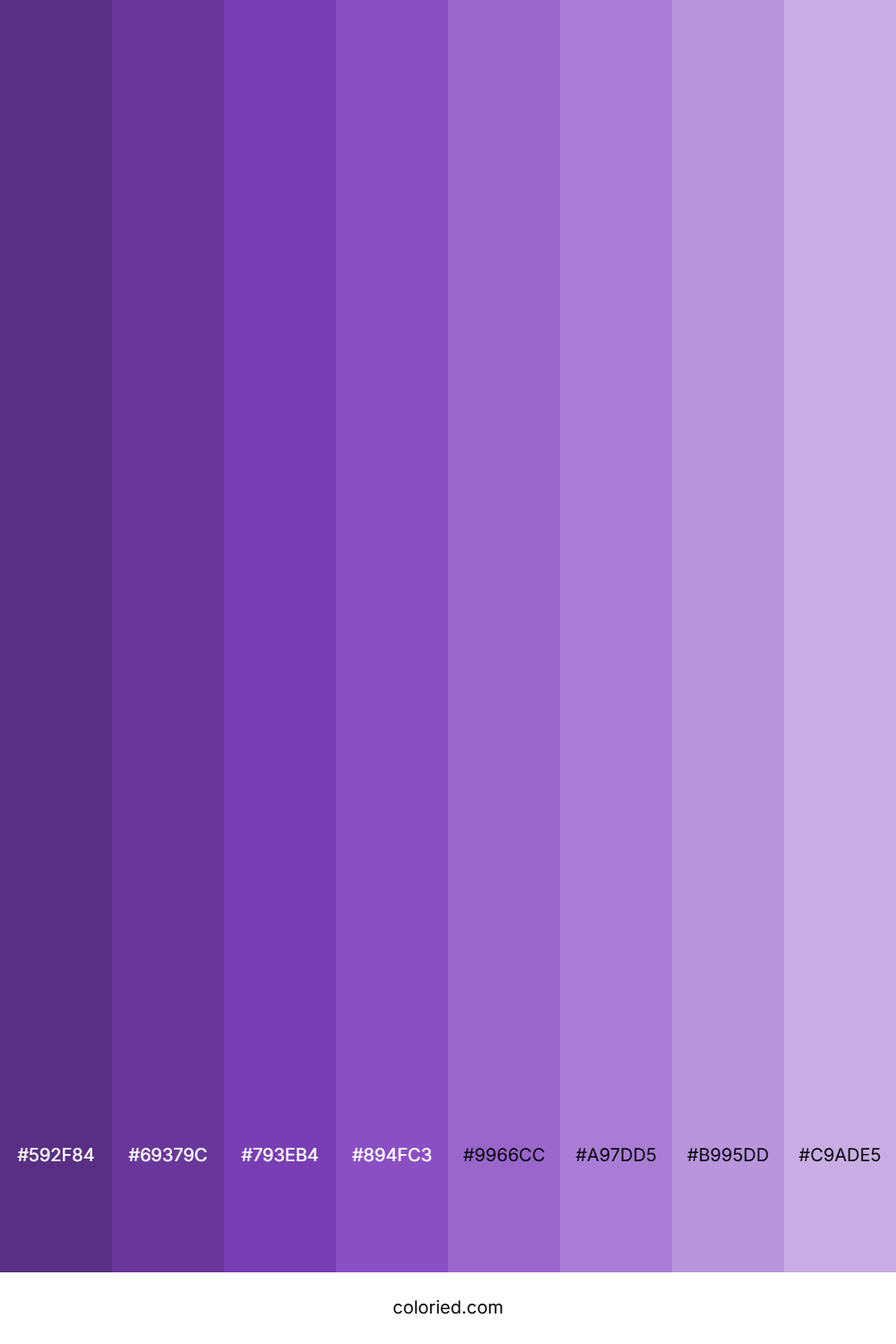 Royal Purple Shades