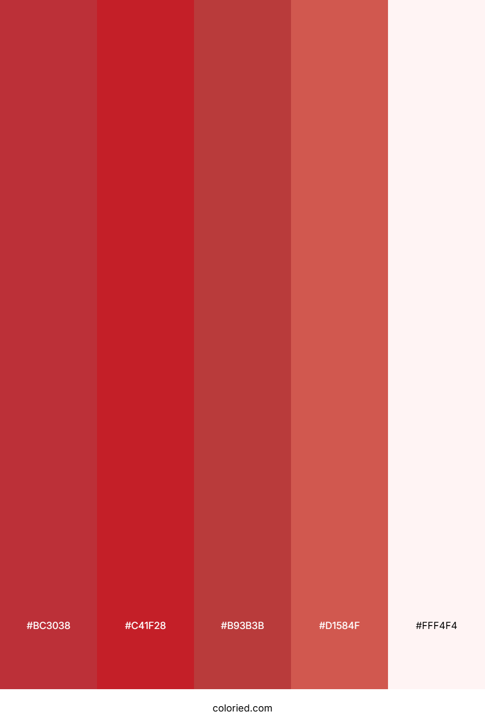 Ruby and Blush Color Palette