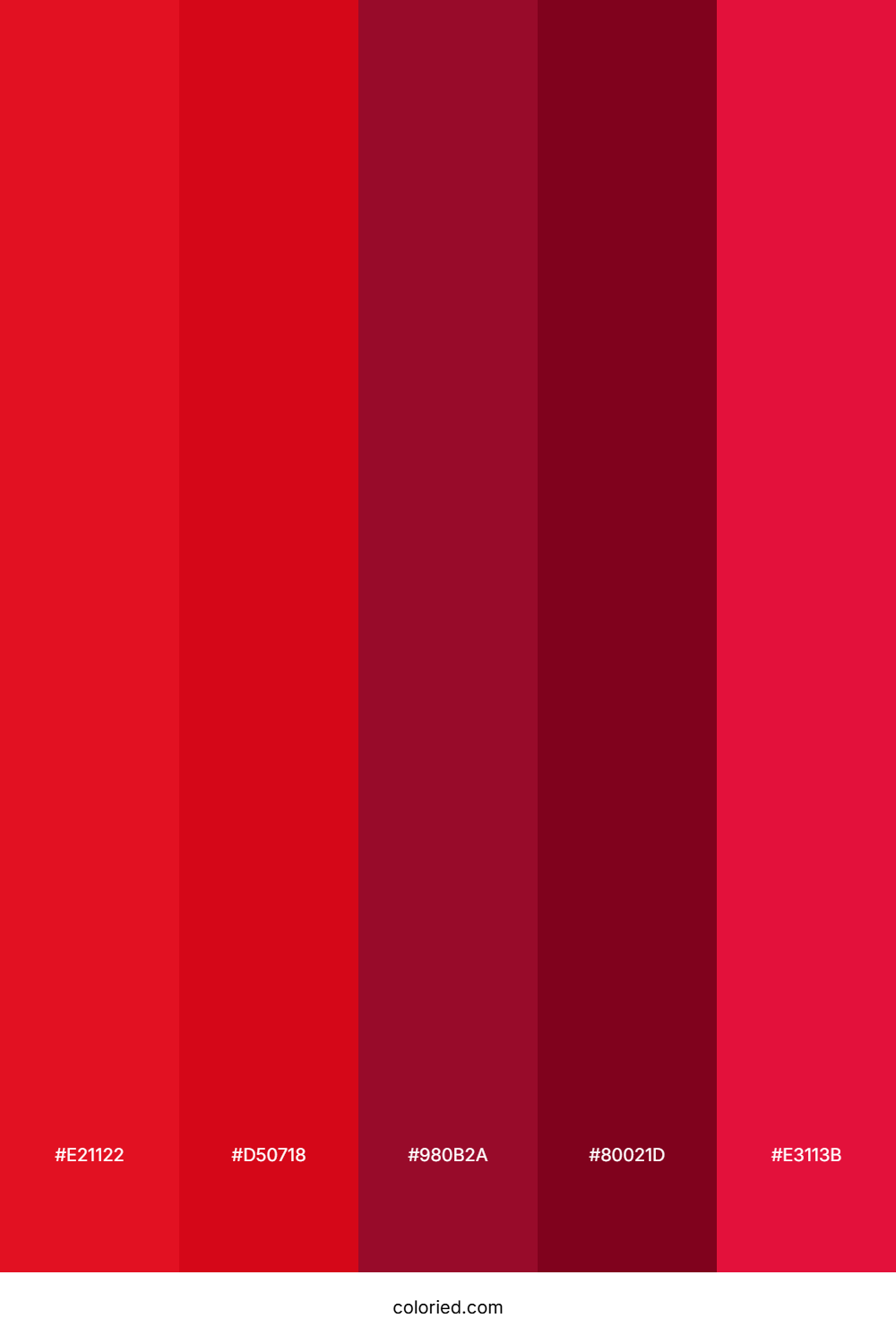 Ruby and Maroon Color Palette