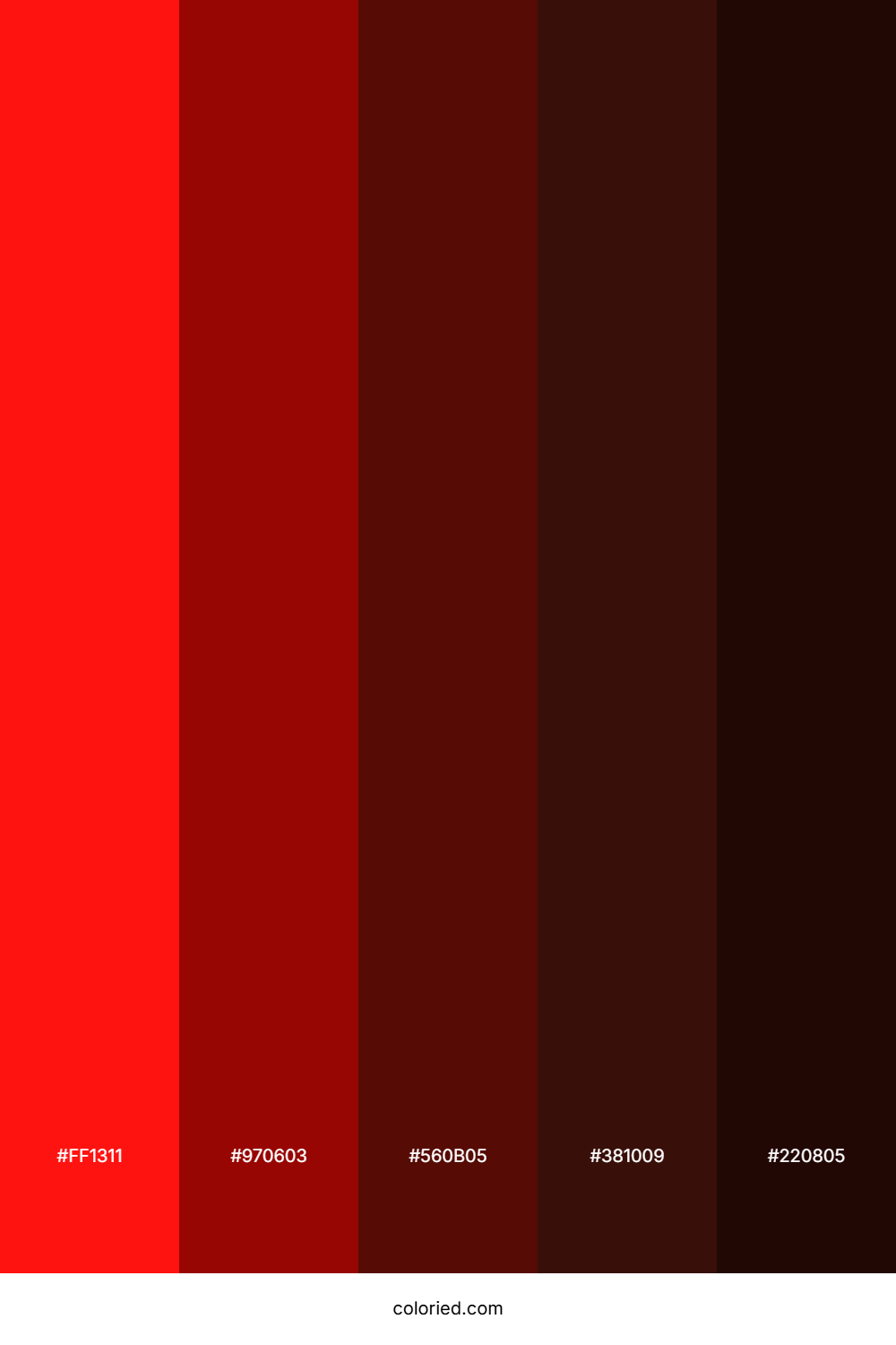 Ruby And Onyx Color Palette