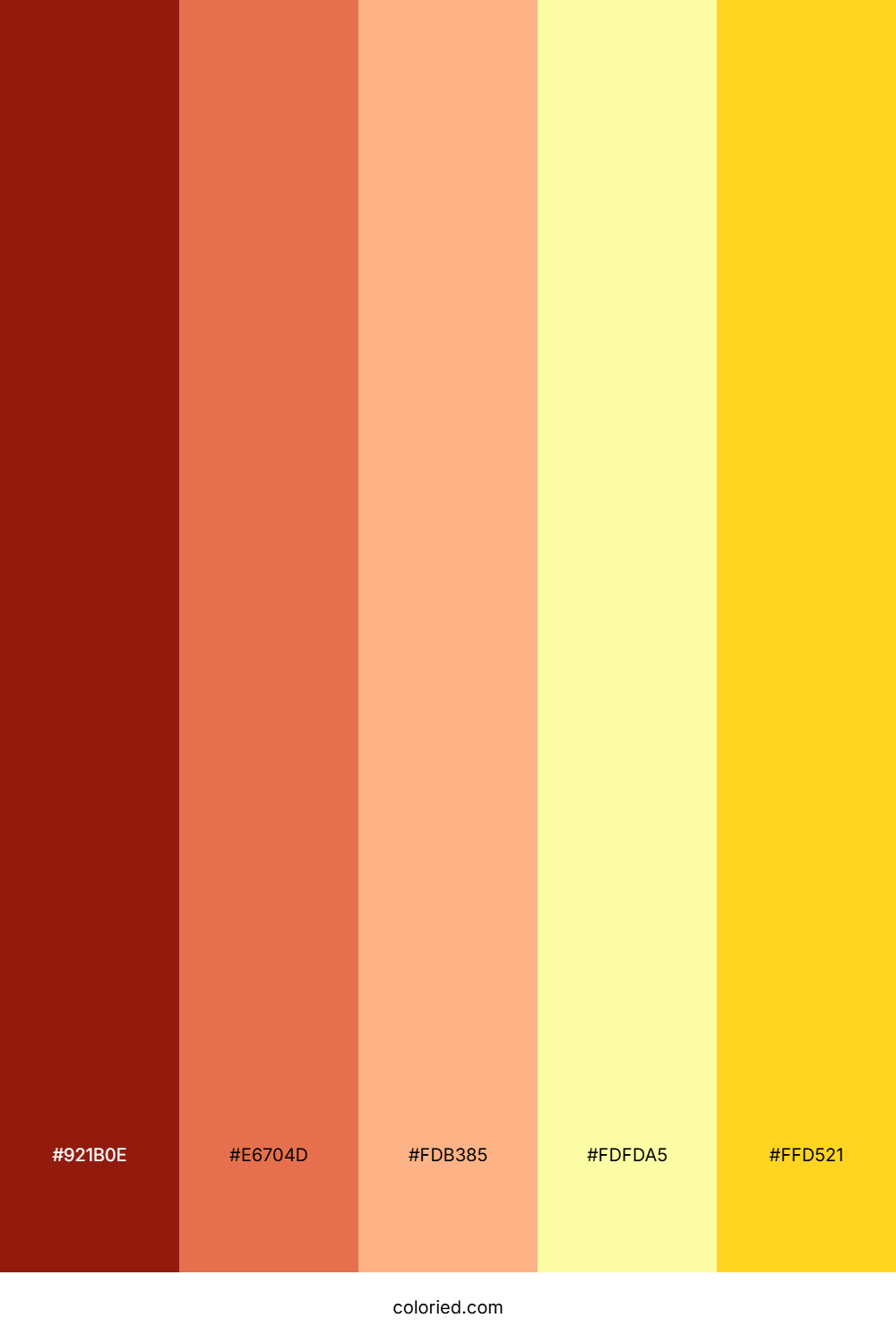 Ruby Apricot Dawn Color Palette