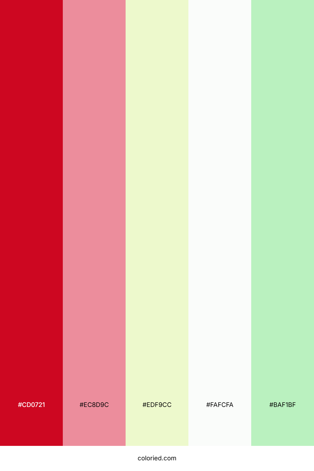 Ruby Blossom Frost Color Palette