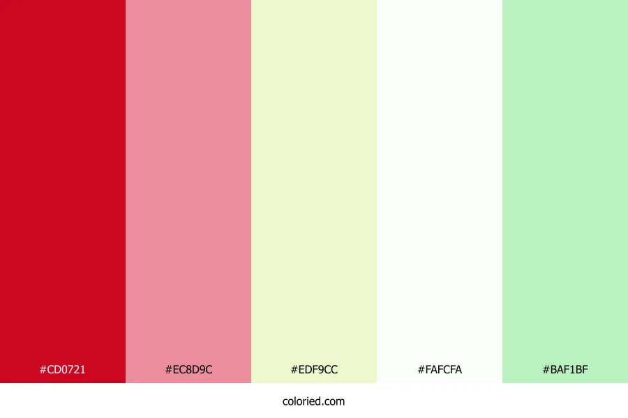 Ruby Blossom Frost Color Palette