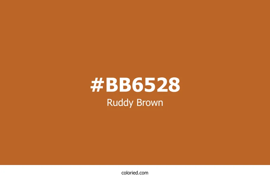 Ruddy Brown Color
