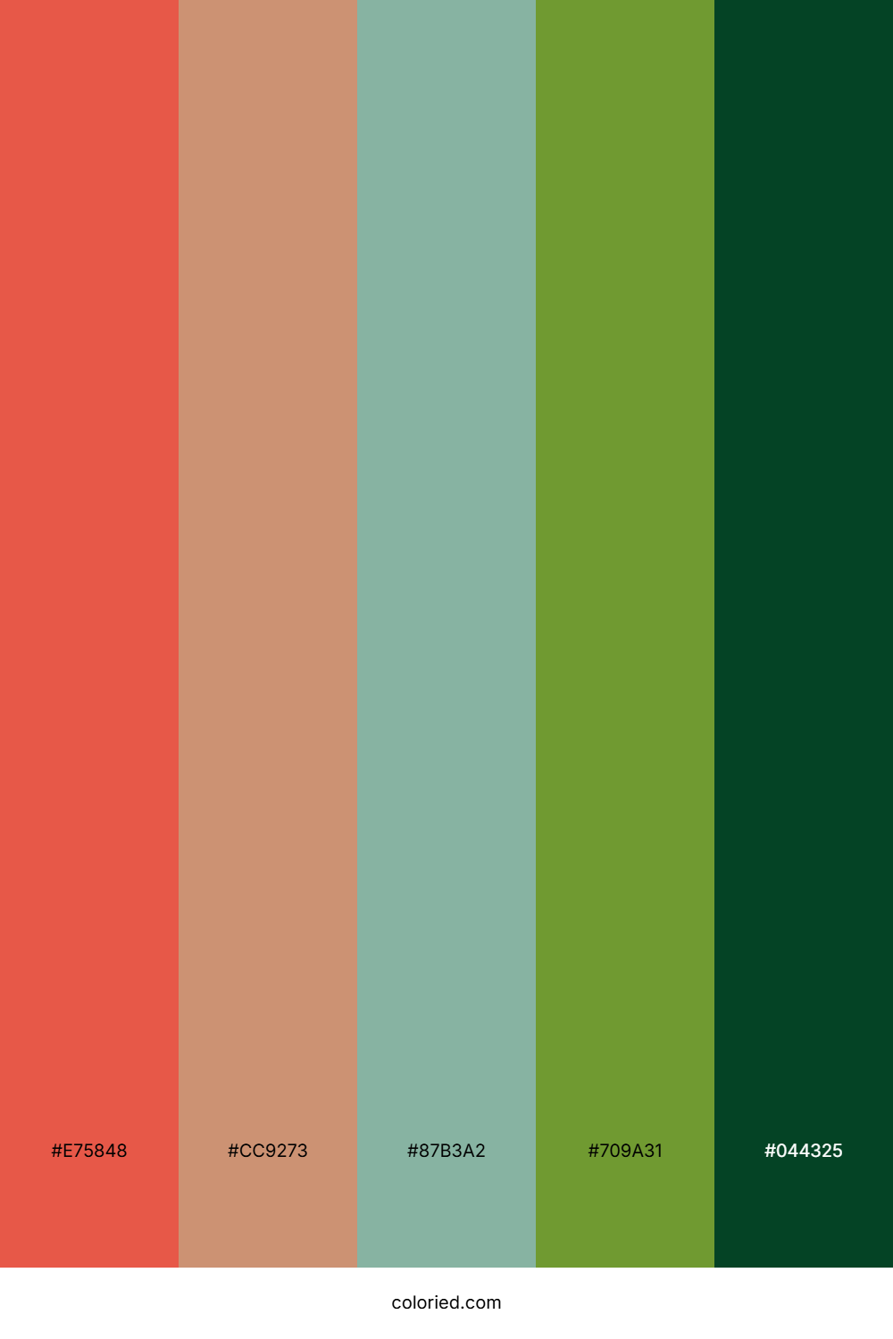 Rust Sage Horizon Palette