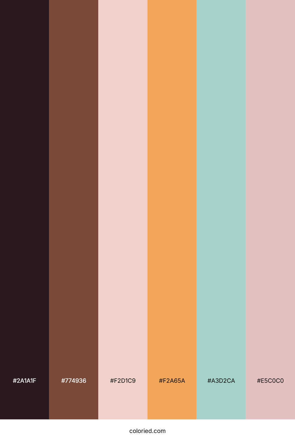 Rustic Blush Ocean Color Palette