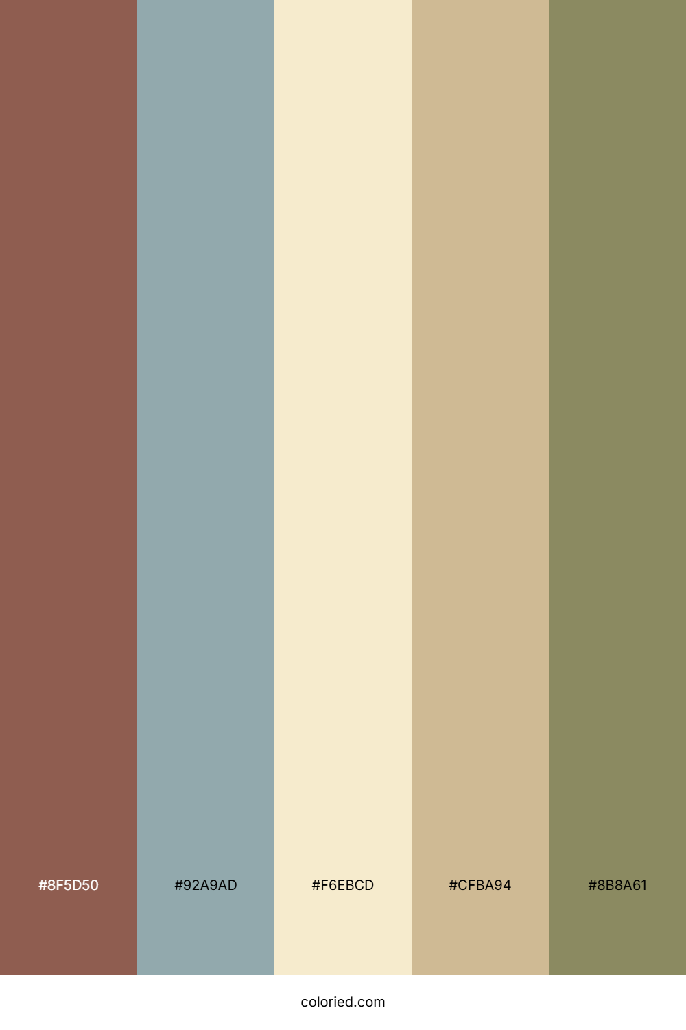 Rustic Brown And Ash Color Palette