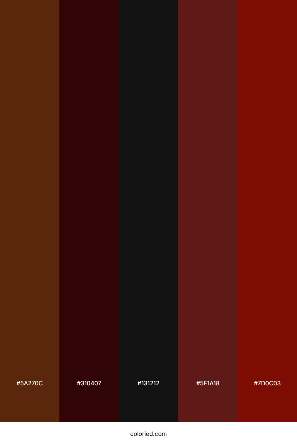 Rustic Brown and Deep Maroon Color Palette